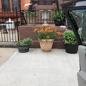 Brooklyn Brownstone , New York United States